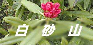 ようこそ白砂山へ！
